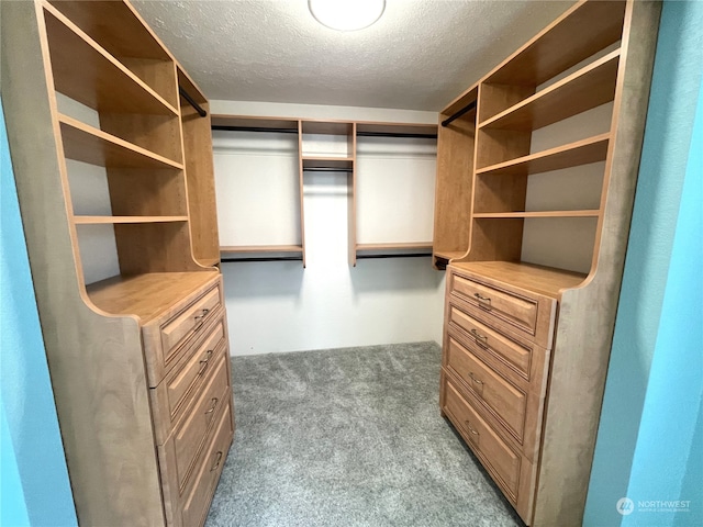 653 Sunset Ave NE, Ocean Shores, WA 98569 - walk in closet with dark colored carpet