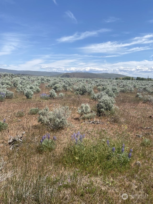 3A Lester Rd, Ellensburg, WA 98926 - photo 4