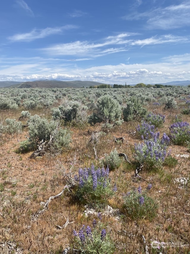 3A Lester Rd, Ellensburg, WA 98926 - photo 9