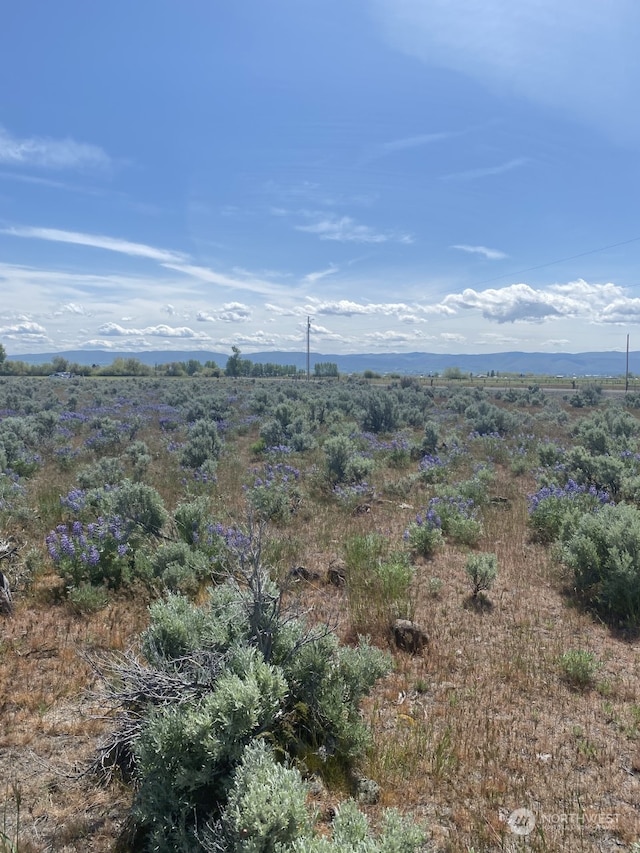 3A Lester Rd, Ellensburg, WA 98926 - photo 11