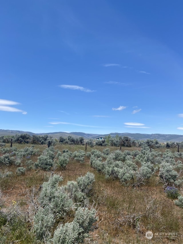 3A Lester Rd, Ellensburg, WA 98926 - photo 13