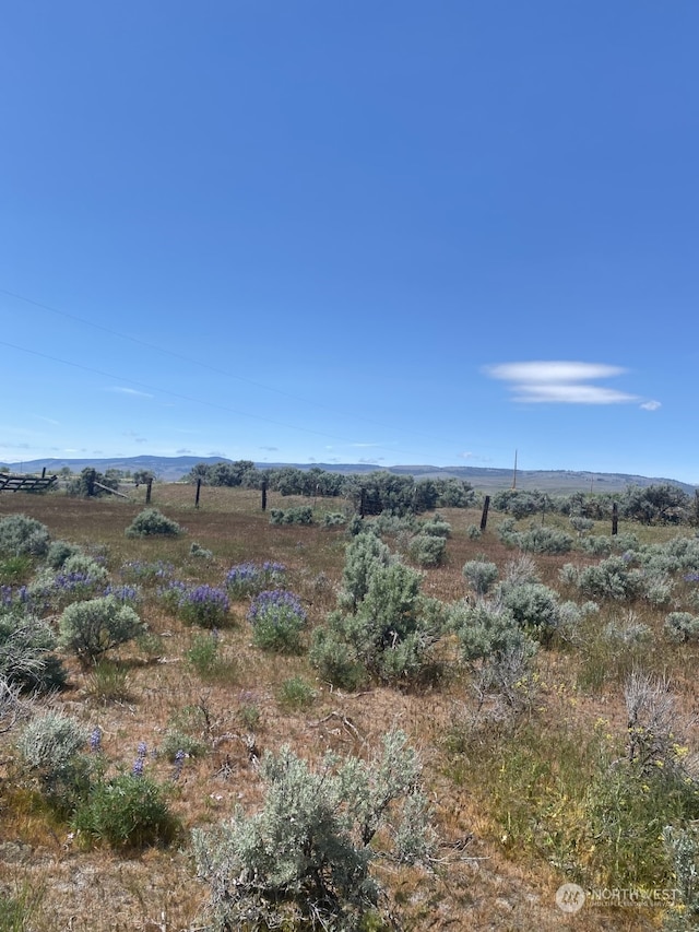 3A Lester Rd, Ellensburg, WA 98926 - photo 14