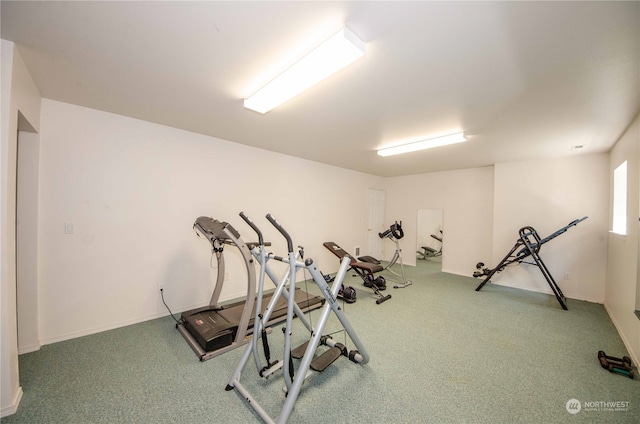 workout room with carpet