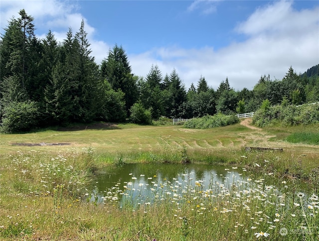 view of nature featuring a water view