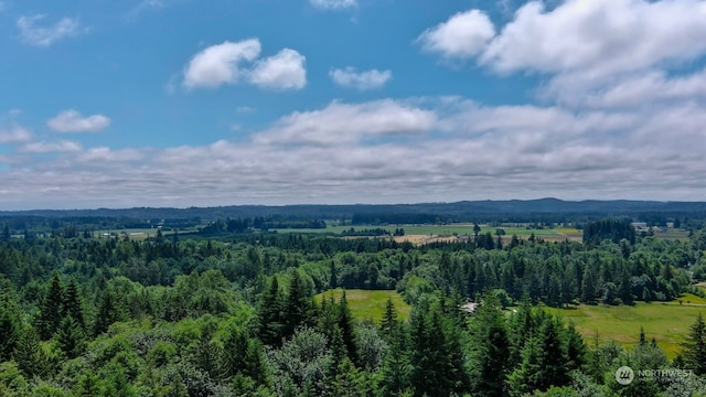 view of bird's eye view