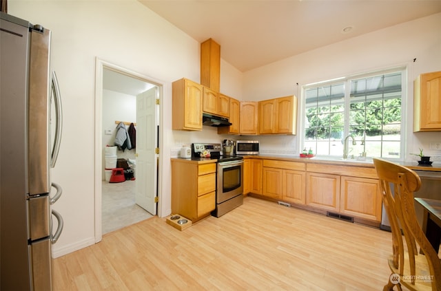 kitchen featuring a barn door, stainless steel appliances, sink, and light wood-type flooring