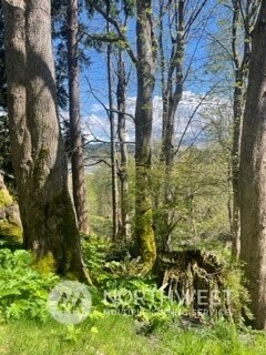 8119 Sand Dollar Ln, Clinton, WA 98236 - photo 3