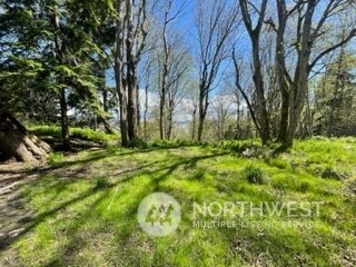 8119 Sand Dollar Ln, Clinton, WA 98236 - photo 5