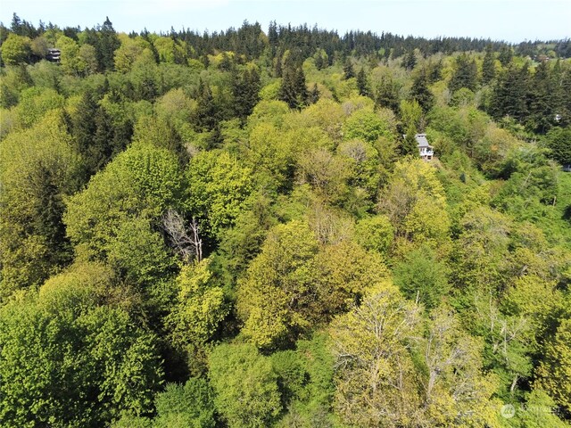 8119 Sand Dollar Ln, Clinton, WA 98236 - photo 8