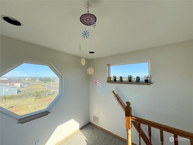 interior space featuring carpet flooring and a healthy amount of sunlight