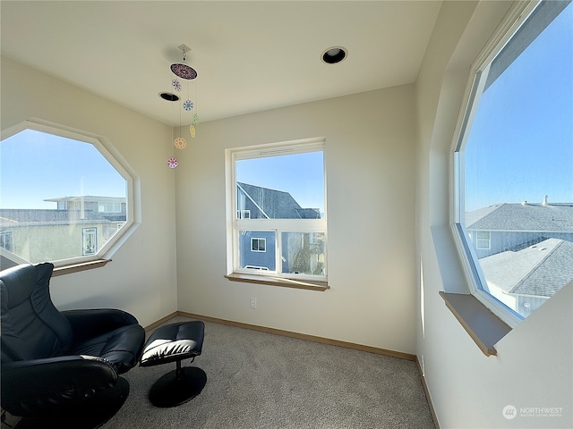 sitting room with carpet floors