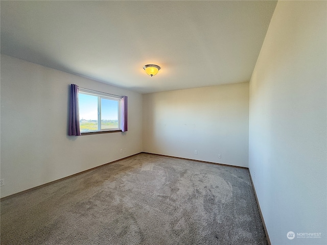 unfurnished room with carpet floors