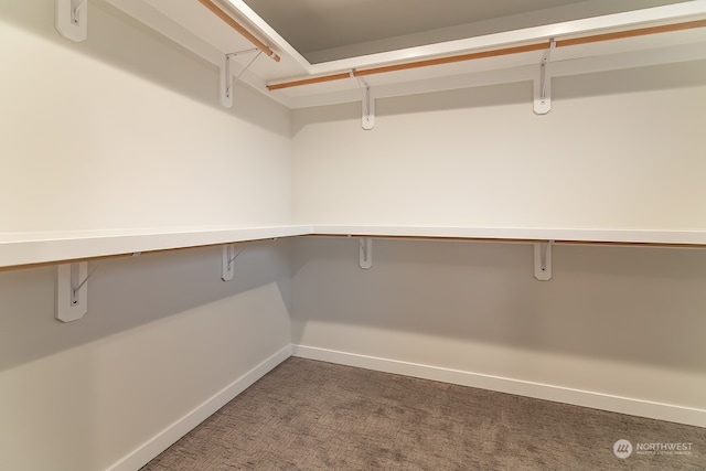 spacious closet featuring carpet floors