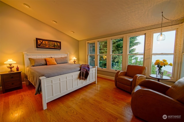 bedroom featuring baseboards, multiple windows, wood finished floors, and lofted ceiling