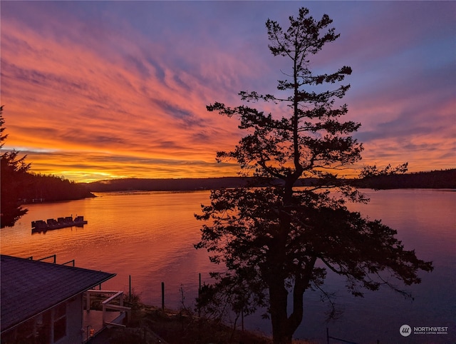 water view featuring a boat dock