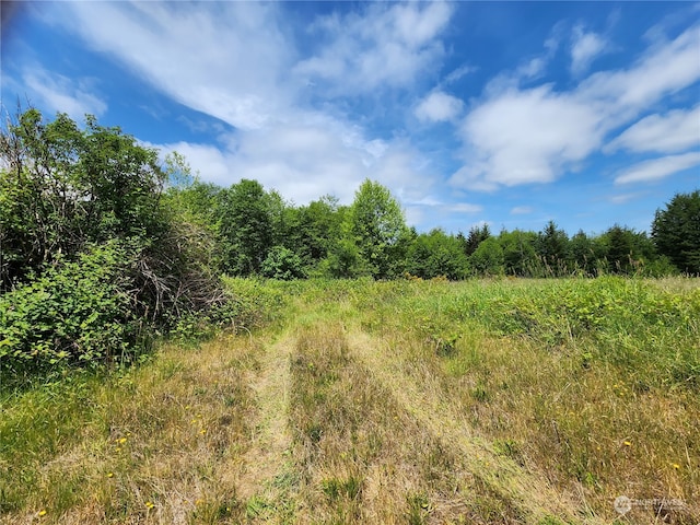 0 Blueberry Rd, Elma WA, 98541 land for sale