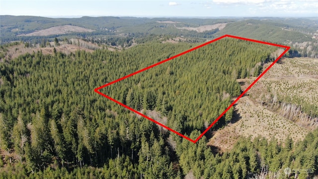 0OFFOF Lund Rd, Cosmopolis WA, 98537 land for sale