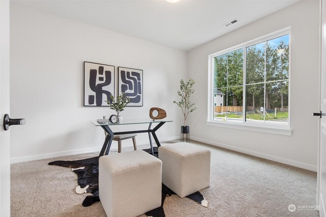 home office with carpet flooring