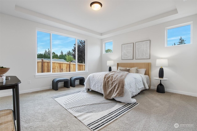 carpeted bedroom featuring a tray ceiling and multiple windows