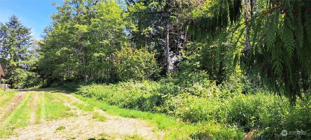 0 Loop Rd, Centralia, WA 98531 - photo 5