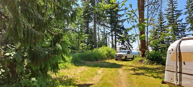 0 Loop Rd, Centralia, WA 98531 - photo 6