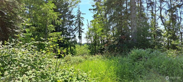 0 Loop Rd, Centralia, WA 98531 - photo 7