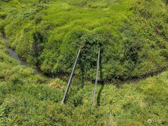 view of nature