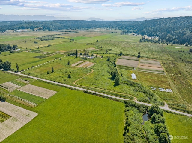 drone / aerial view with a rural view