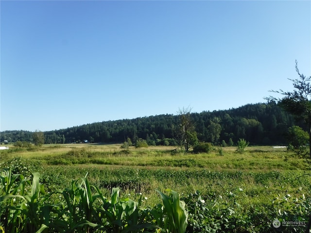 view of local wilderness featuring a rural view