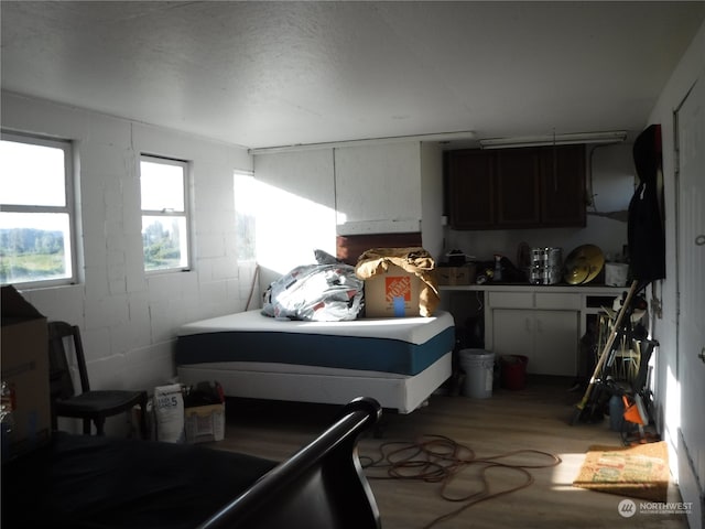 bedroom featuring light hardwood / wood-style flooring