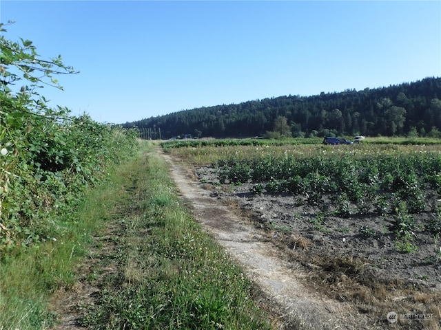 view of local wilderness featuring a rural view