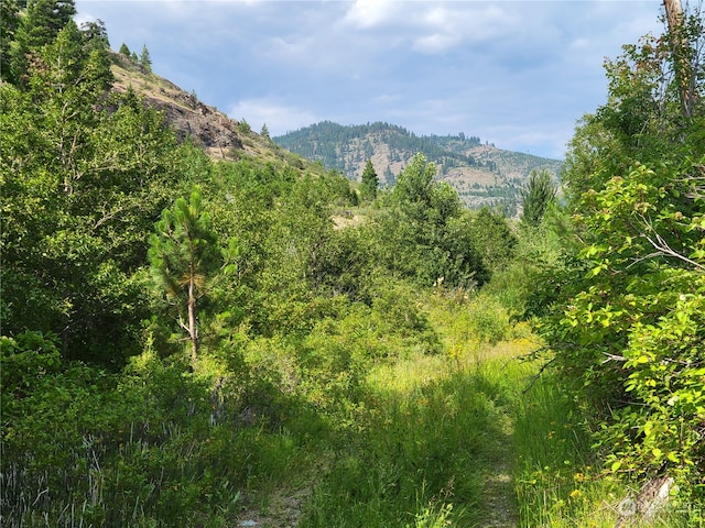 13650 Entiat River Rd, Entiat WA, 98822 land for sale