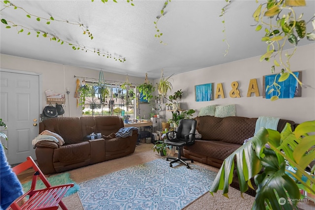 59 N Iowa Ave, East Wenatchee, WA 98802 - living room with light carpet