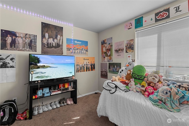 59 N Iowa Ave, East Wenatchee, WA 98802 - bedroom featuring dark colored carpet