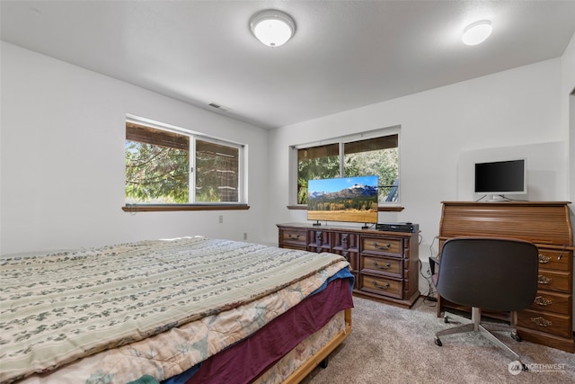 carpeted bedroom with multiple windows