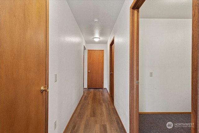 corridor with wood-type flooring