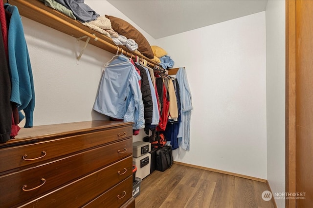 walk in closet featuring hardwood / wood-style flooring