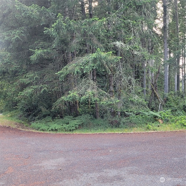 8922 129th Avenue Ct, Anderson Island, WA 98303