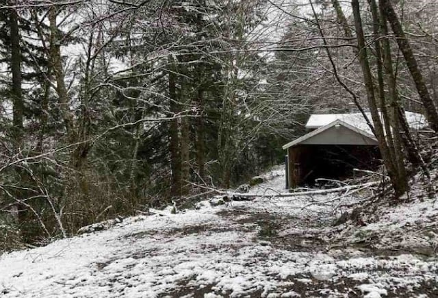 view of snowy landscape