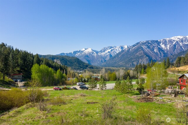 10690 Fox Rd, Leavenworth, WA 98826 - photo 7