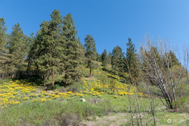 10690 Fox Rd, Leavenworth, WA 98826 - photo 9