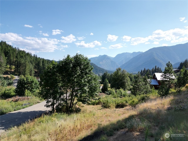10690 Fox Rd, Leavenworth, WA 98826 - photo 11