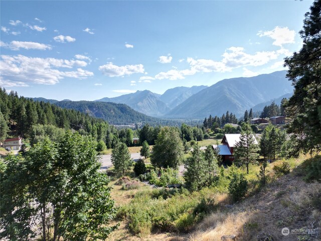 10690 Fox Rd, Leavenworth, WA 98826 - photo 12