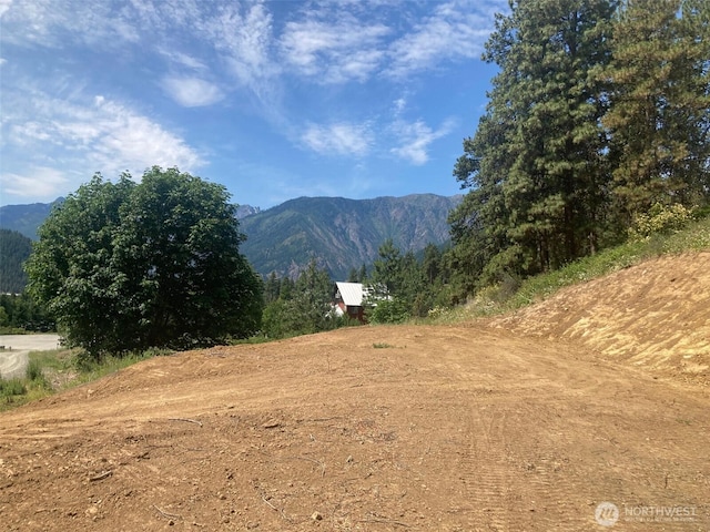 10690 Fox Rd, Leavenworth, WA 98826 - photo 14