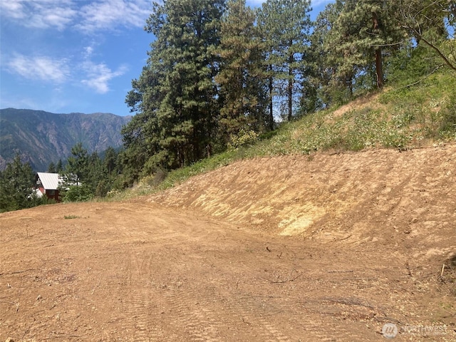 10690 Fox Rd, Leavenworth, WA 98826 - photo 15
