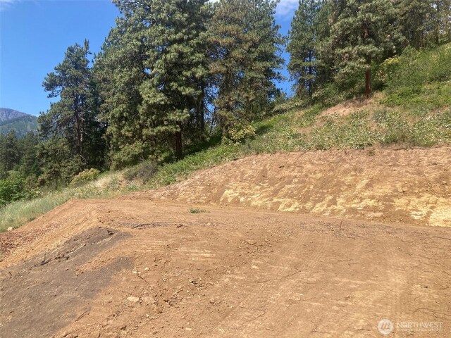 10690 Fox Rd, Leavenworth, WA 98826 - photo 16