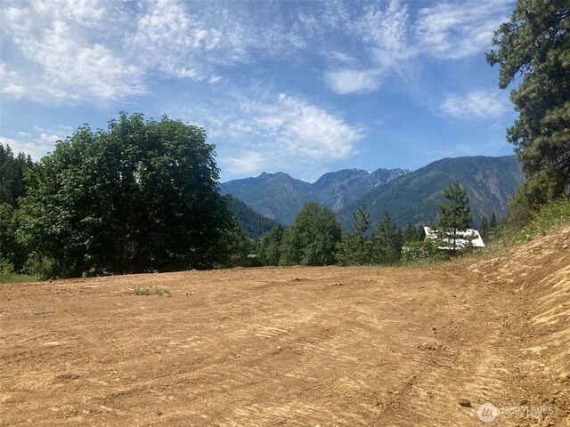 10690 Fox Rd, Leavenworth, WA 98826 - photo 17