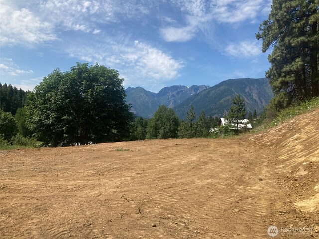 10690 Fox Rd, Leavenworth, WA 98826 - photo 18