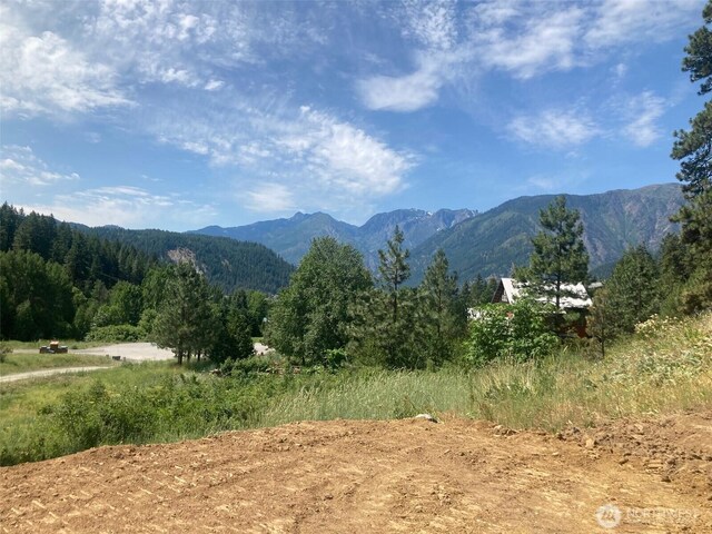 10690 Fox Rd, Leavenworth, WA 98826 - photo 13