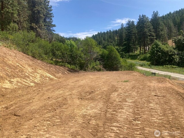 10690 Fox Rd, Leavenworth, WA 98826 - photo 19